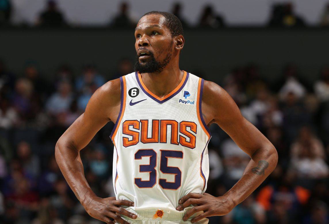 供了宝贵的 供了宝贵的