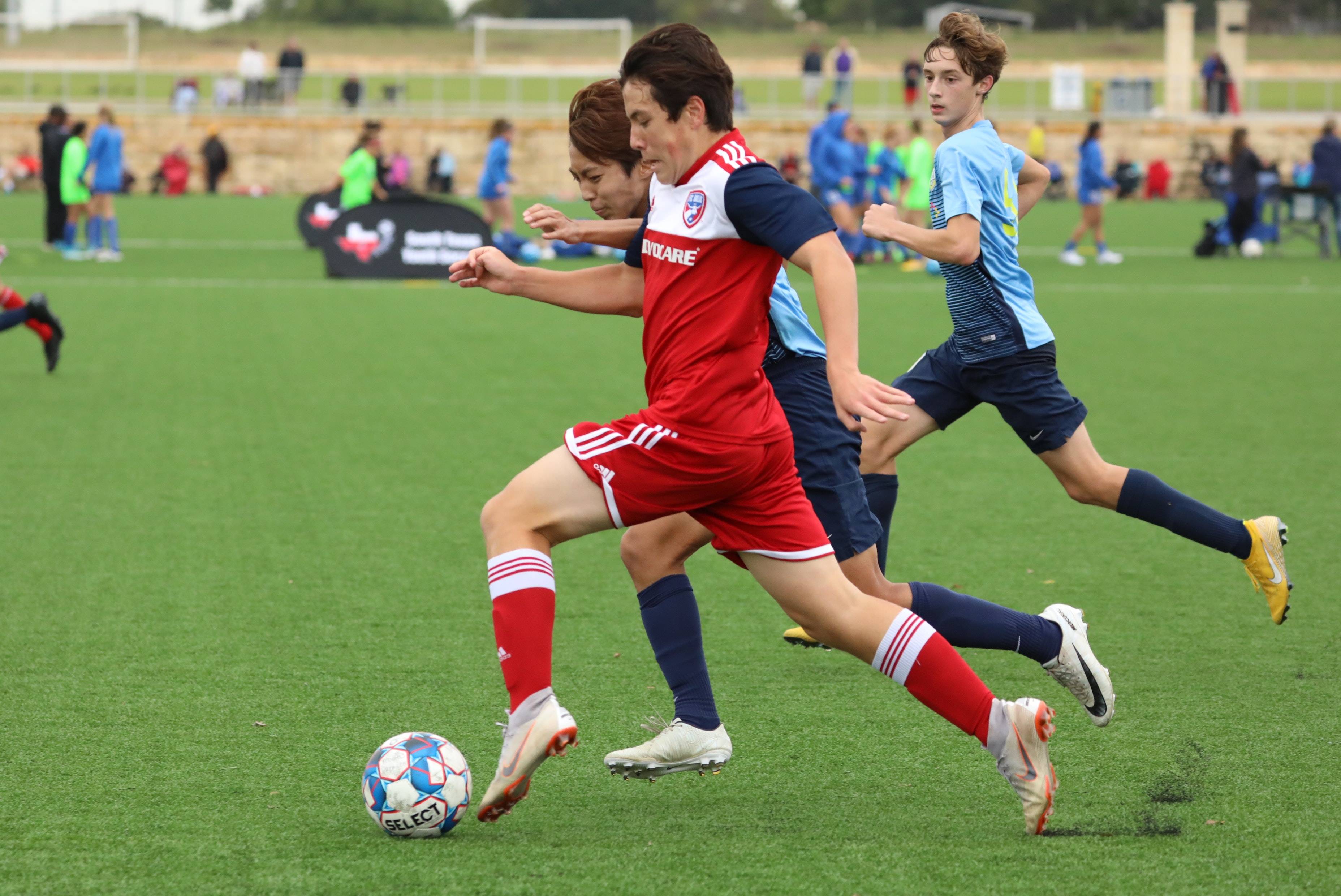 导致失利 导致失利